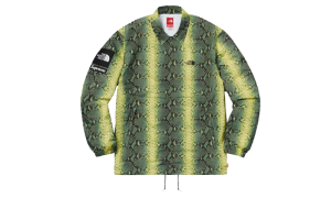 Supreme The North Face Snakeskin Taped Seam Coaches Jacket Green